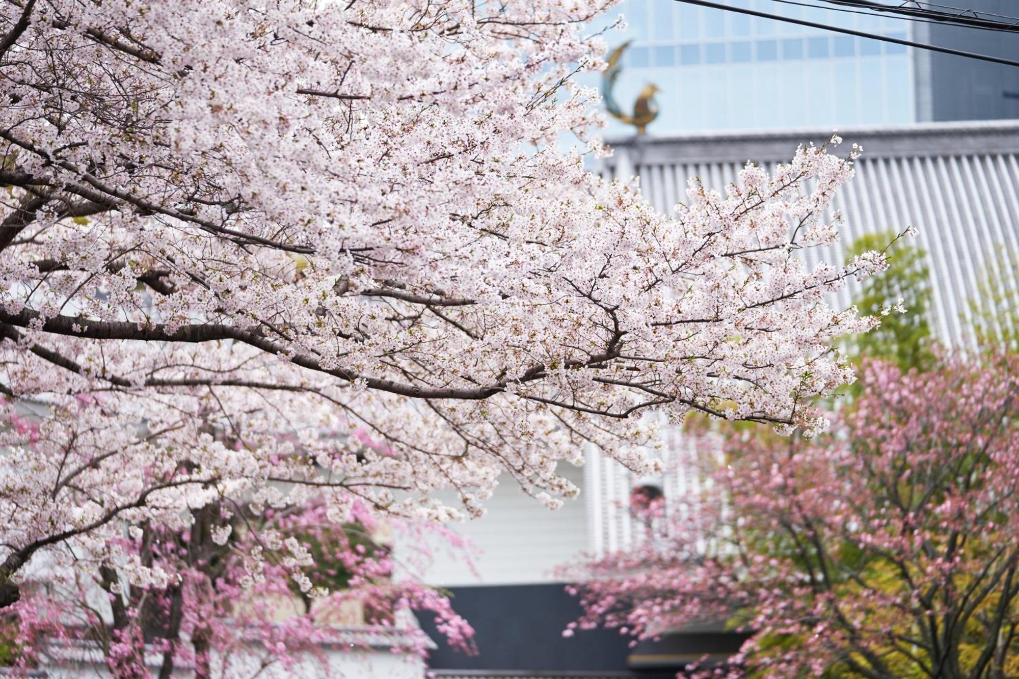 Hotel Gajoen Tokyo — Foto 2