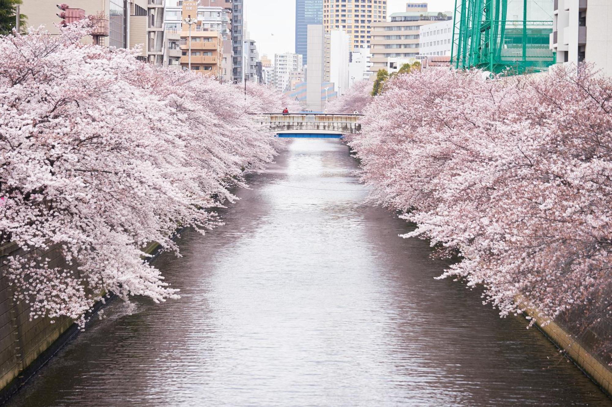 Hotel Gajoen Tokyo — Foto 1